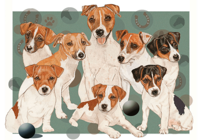 Jack Russell's - Best of Breed Dog Breed Fleece Blanket