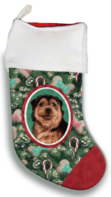 Norfolk Terrier- Best of Breed Christmas Stocking