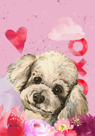 Maltese - Hippie Hound Studios Valentines  House Flags