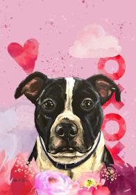 Pit Bull Black and White - Hippie Hound Studios Valentines  House Flags