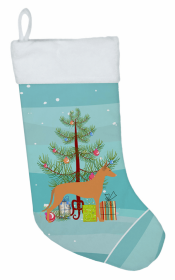 Pharaoh Hound and Christmas Tree Stocking