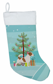 Jack Russell Terrier 1 and Christmas Tree Stocking