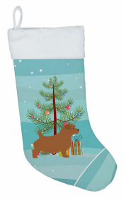 Norfolk Terrier and Christmas Tree Stocking