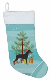 German Pinscher  and Christmas Tree Stocking