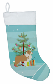 Border Collie - Red and White 1 - and Christmas Tree Stocking