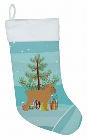 Brussels Griffon 1 and Christmas Tree Stocking