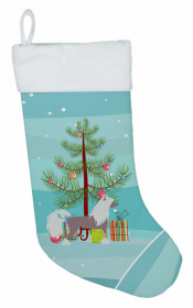 Chinese Crested 1 and Christmas Tree Stocking