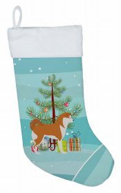 Akita 1 and Christmas Tree Stocking