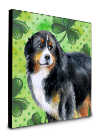 Bernese Mountain Dog St Patrick's Wall Panel