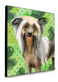 Chinese Crested St Patrick's Wall Panel