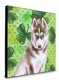 Siberian Husky - Grey - St Patrick's Wall Panel