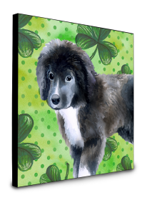 Newfoundland - Puppy - St Patrick's Wall Panel