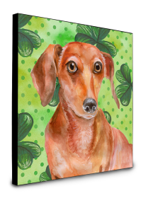 Dachshund - Red - St Patrick's Wall Panel