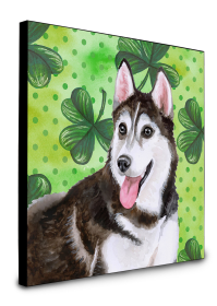 Siberian Husky #2 St Patrick's Wall Panel