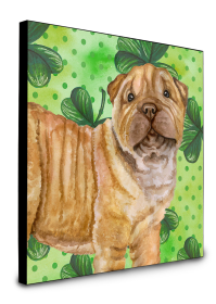 Shar Pei - Puppy - St Patrick's Wall Panel