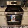 Coton de Tulear Luau Kitchen Towel