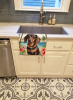 Dachshund 1 Luau Kitchen Towel