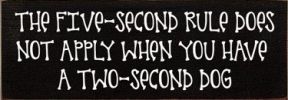 The 5 Second Rule