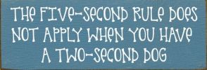 The 5 Second Rule