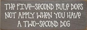 The 5 Second Rule