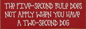 The 5 Second Rule