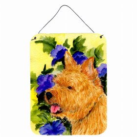 Norwich Terrier 4 Art Wall or Door Hanging Prints