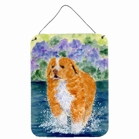 Nova Scotia Duck Trolling Retriever  Art Wall or Door Hanging Prints