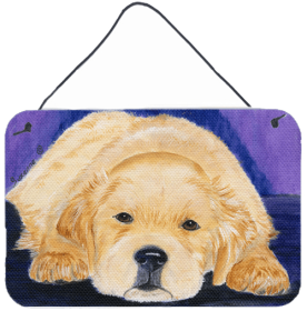 Golden Retriever 5 Art Wall or Door Hanging Prints