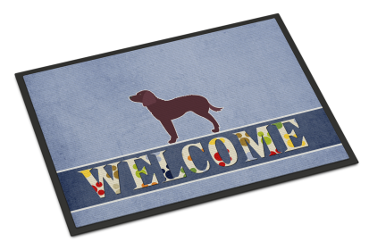 American Water Spaniel  Indoor/Outdoor Welcome Mat