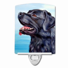 Labrador Retriever - Black - Ceramic Night Light