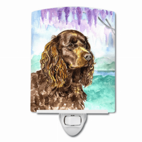 American Water Spaniel Ceramic Night Light