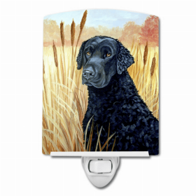 Curly Coated Retriever Ceramic Night Light