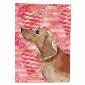 Dachshund - Red Love Breed Themed Flag Canvas