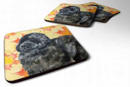 Newfoundland Fall Leaves Art Foam Coaster