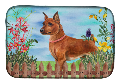 Min Pin Spring Dish Drying Mat