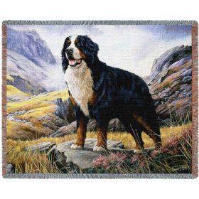 Bernese Mountain - Cotton Woven Blanket Throw