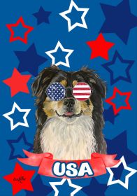 Border Collie - Patriotic House Flag