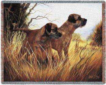 Border Terrier - Cotton Woven Blanket Throw