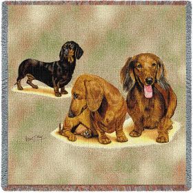 Dachshund Puppies - Lap Square Cotton Woven Blanket Throw