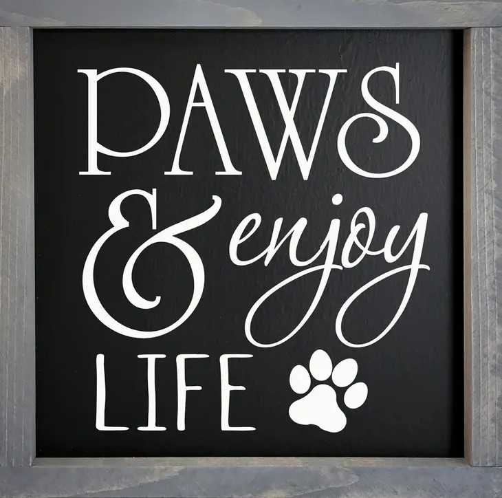 Paws & Enjoy Life Framed