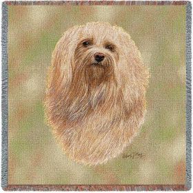 Havanese - Lap Square Cotton Woven Blanket Throw