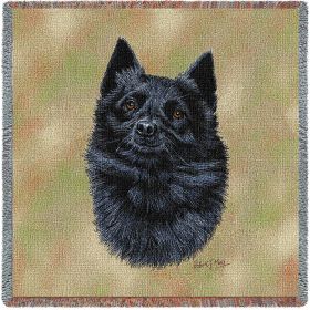 Schipperke - Lap Square Cotton Woven Blanket Throw