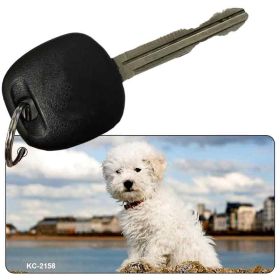 Bichon Frise Novelty Key Chain