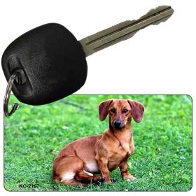 Dachshund  Key Chain