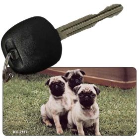 Pug  Key Chain