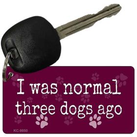 Three Dogs Ago  Novelty Key Chain