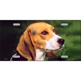 Beagle Metal Breed License Plate