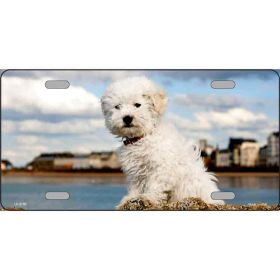 Bichon Frise Metal Breed License Plate