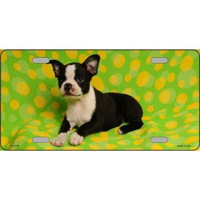 Boston Terrier Metal Breed License Plate