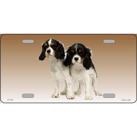 Cavalier King Charles Spaniel Metal Breed License Plate